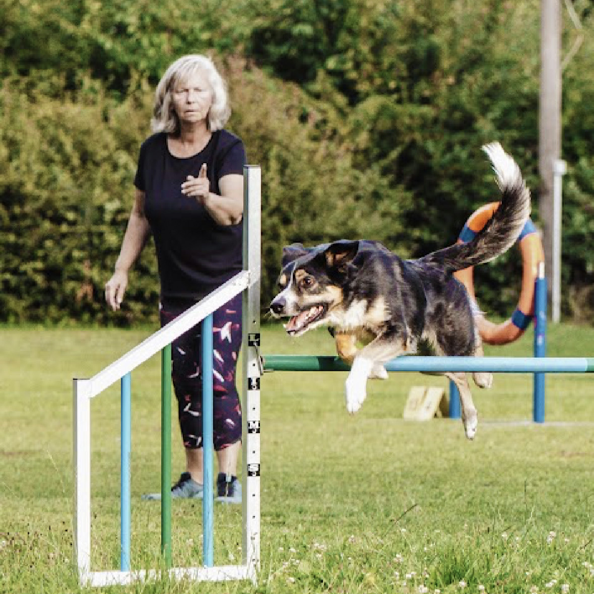 Agility Impression 1