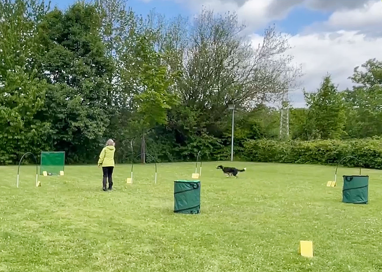 Hoopers Impression 1