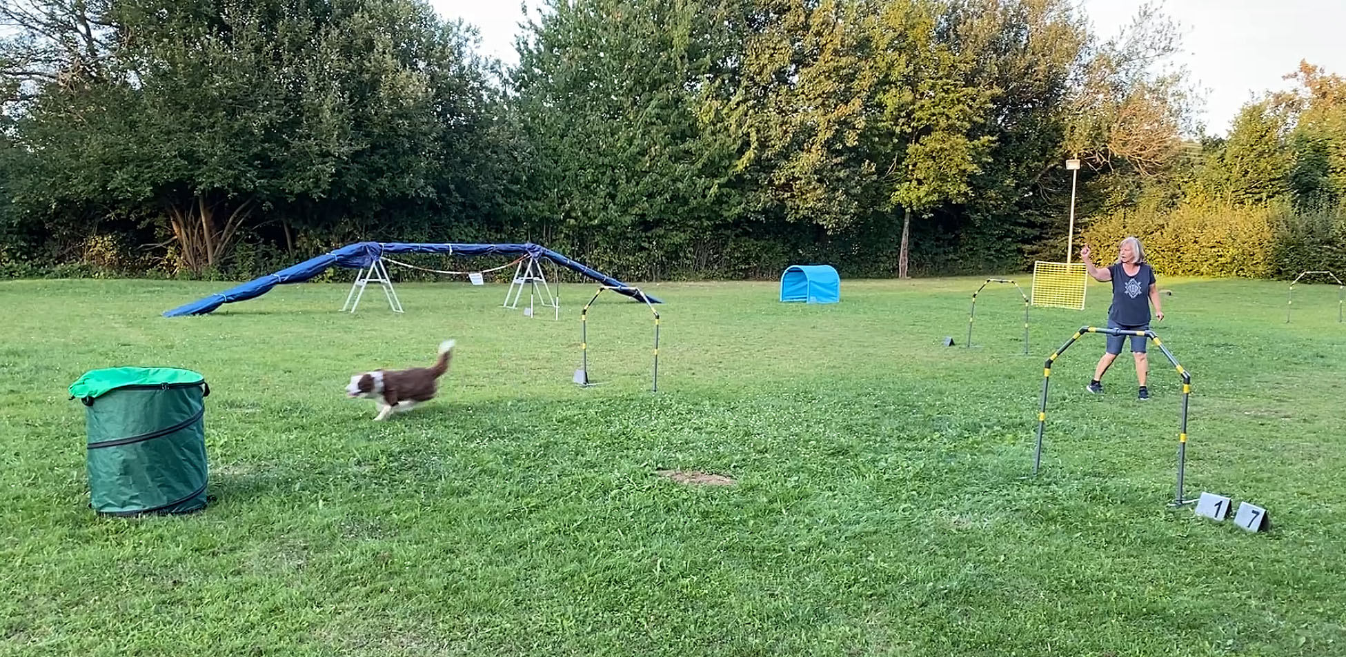 Hoopers Impression 2